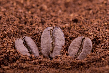 Macro shot of three coffee beans at roasted coffee heap の写真素材