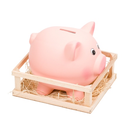 Piggy bank in small wooden corralの写真素材