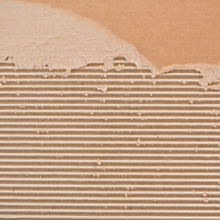 Torn corrugated cardboard  Square format の写真素材