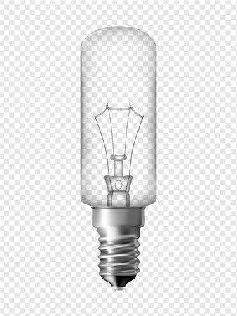 Fridge light bulb, transparent bulb design  Realistic vector illustration  のイラスト素材