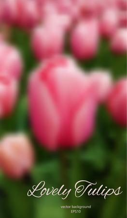Blurred tulips field. Pink flowers on green background. Can be used as an invitation, sale poster, for scrapbooking, birthday card. Vector illustration.のイラスト素材