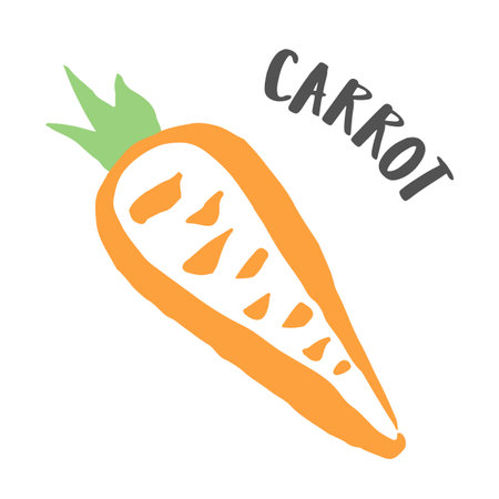 Carrot vegetable hand painted with ink brushのイラスト素材