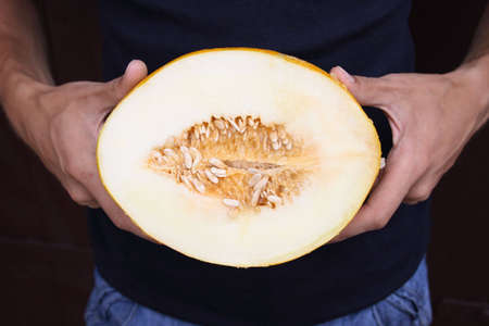 In a hand a melonの写真素材