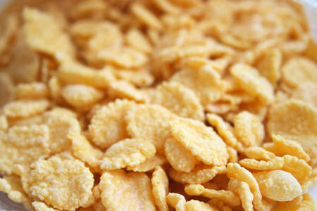 On a photo corn-flakes. A photo close upの写真素材