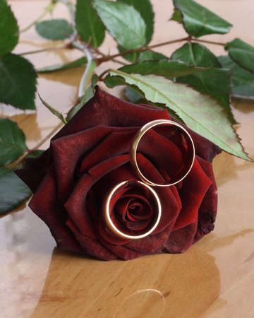 Wedding rings and red roses on tableの写真素材