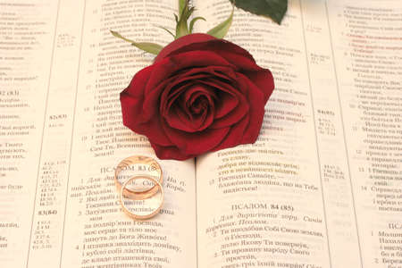 rose with wedding rings and bible on blackの写真素材