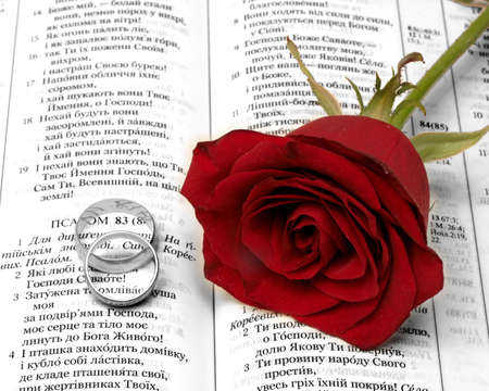 Red rosa and gold wedding ringa on the Bibleの写真素材