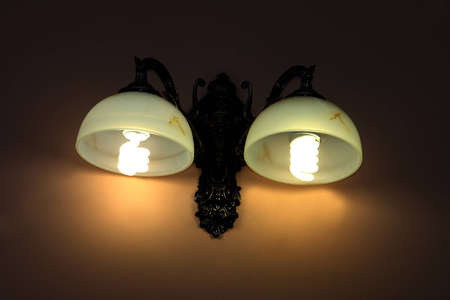 energy-saving light bulbs in the lamp