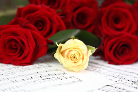 red and white roses on a sheet with notesの写真素材