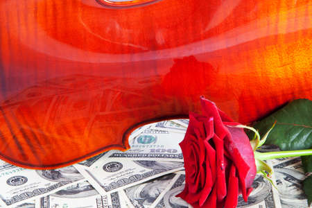 Violin withred rosa on dollar backgroundの写真素材