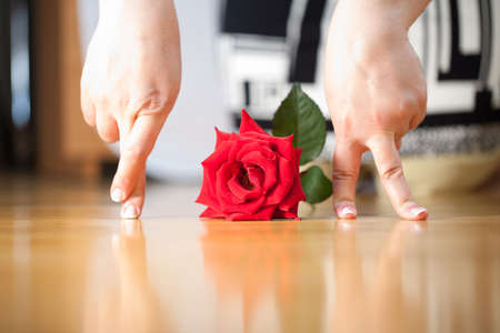 Woman hands with red roses