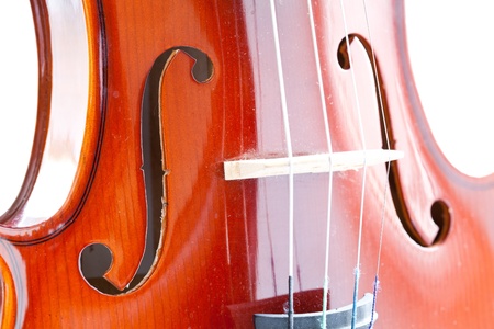 Violin isolated on white backgroundの写真素材