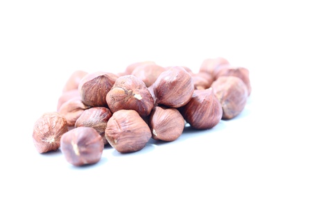 hazelnuts on a white background close-upの写真素材