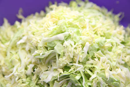 sliced kaleの写真素材