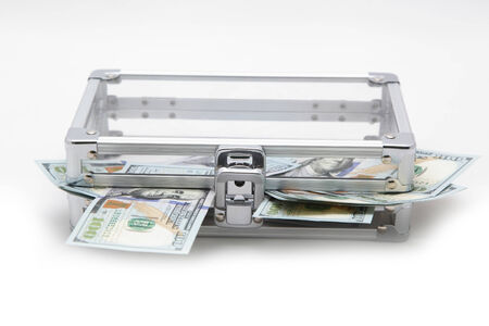 Case with money on a light background