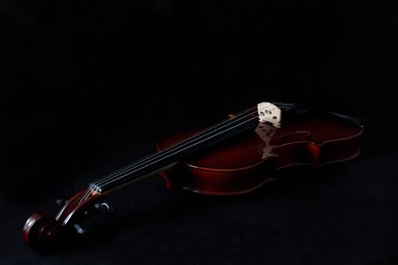 violin on a black backgroundの写真素材