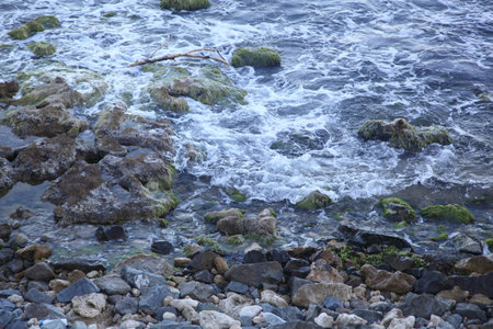 Bulgaria, seashore in stonesの写真素材