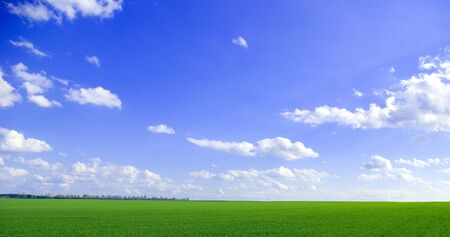 field の写真素材