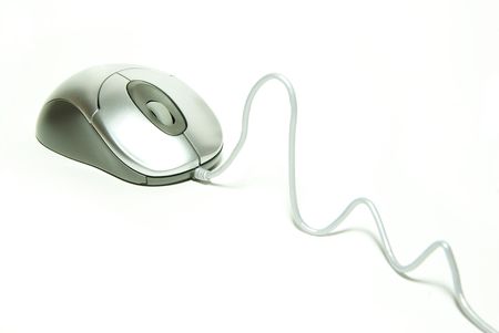  computer mouse 