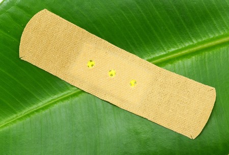 structure of leaf natural backgroundの写真素材