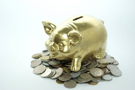  piggy bank  isolated on white background with coinsの写真素材