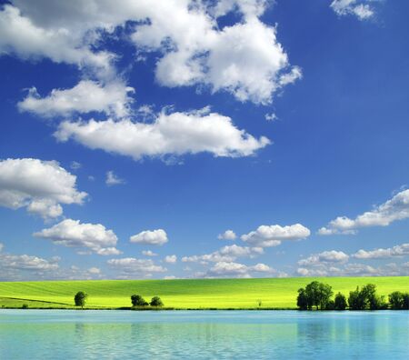 field on a background of the blue skyの写真素材