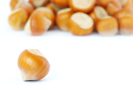 Much hazelnuts isolated on white     の写真素材
