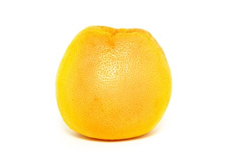 grapefruit isolated on a whiteの写真素材