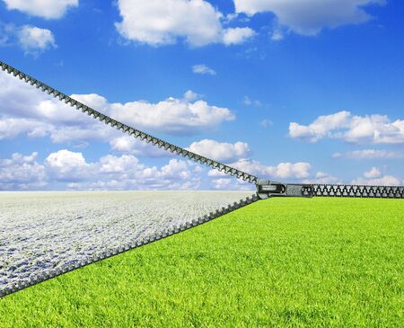 field on a background of the blue skyの写真素材