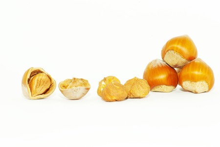 Much hazelnuts isolated on white       