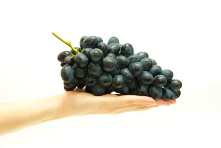 Bunch of grapes in female handの写真素材