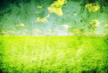 field on a background of the blue skyの写真素材