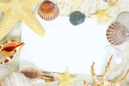 sea stars and shells an blank postcard on sands