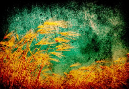 grunge wheat background with space for text or imageの写真素材