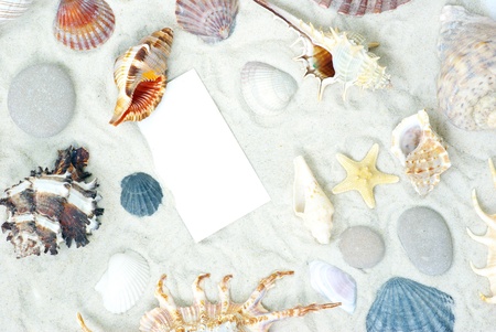 sea stars and shells an blank postcard on sands