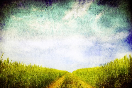 grunge image of green field and blue skyの写真素材