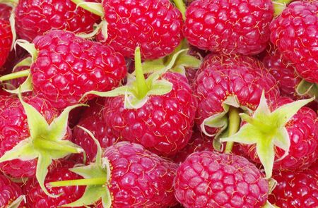 sweet fresh raspberry close up