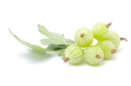 Green gooseberry fruit on whiteの写真素材