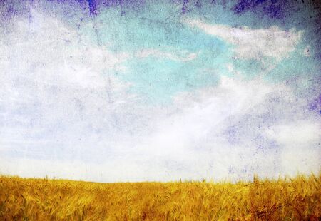 Wheat ears against the blue  skyの写真素材