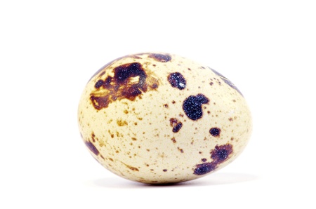 quail eggs in isolated on white backgroundの写真素材