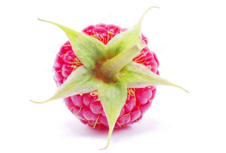 fresh raspberry closeup isolated on white backgroundの写真素材