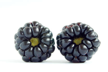 blackberry isolated on white backgroundの写真素材