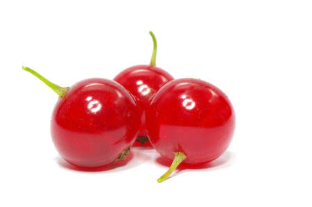 red currant isolated on a white backgroundの写真素材
