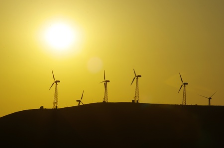 Wind farm at colorfull sunset