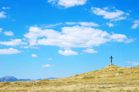 field on a background of the blue skyの写真素材