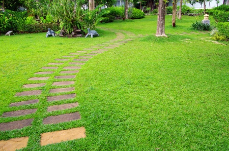 Garden stone path with grassの写真素材