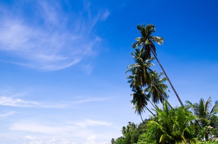 Tropical beach, Andaman Sea, Thailand