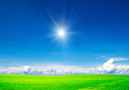 field on a background of the blue skyの写真素材