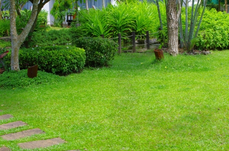 Garden stone path with grassの写真素材