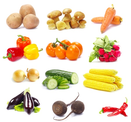 collection vegetables isolated on white backgroundの写真素材